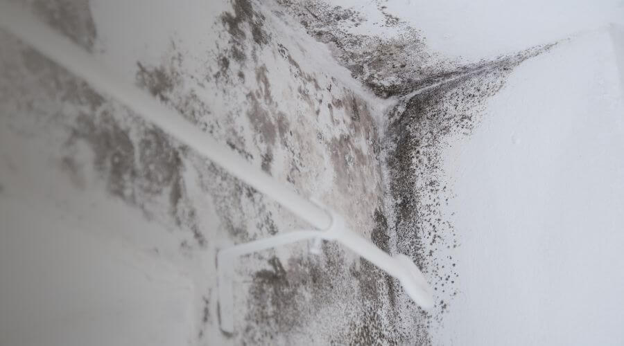 Why choose water damage restoration service for emergency water extraction services in Las Vegas